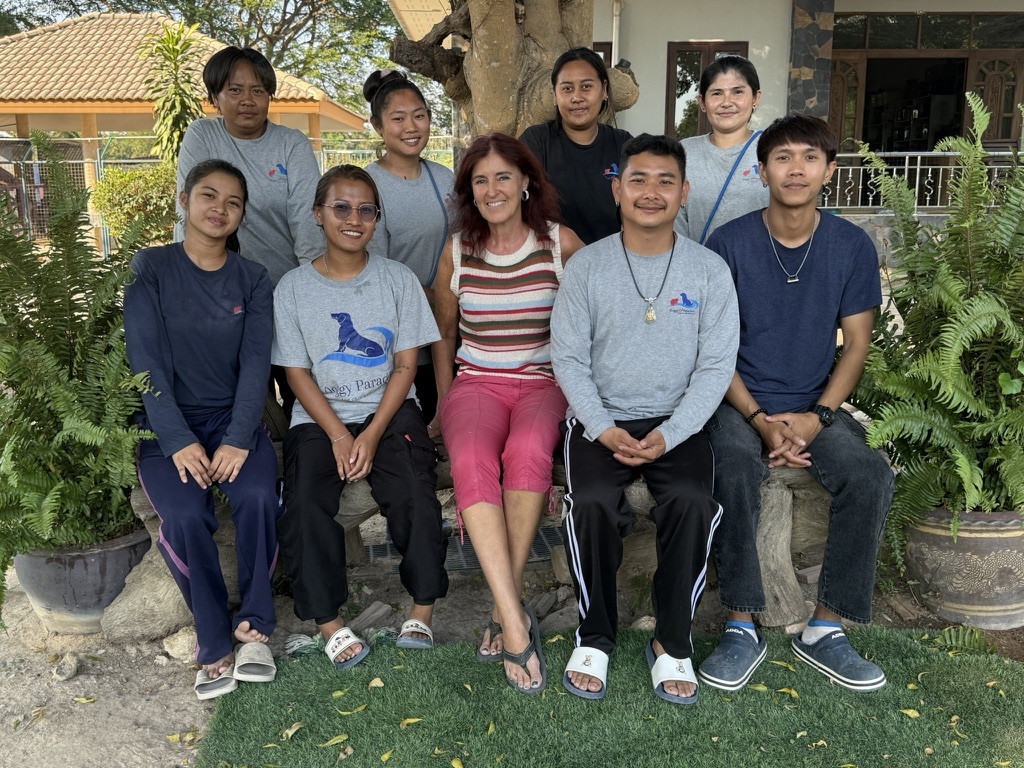 The Doggy & Cat Paradise team