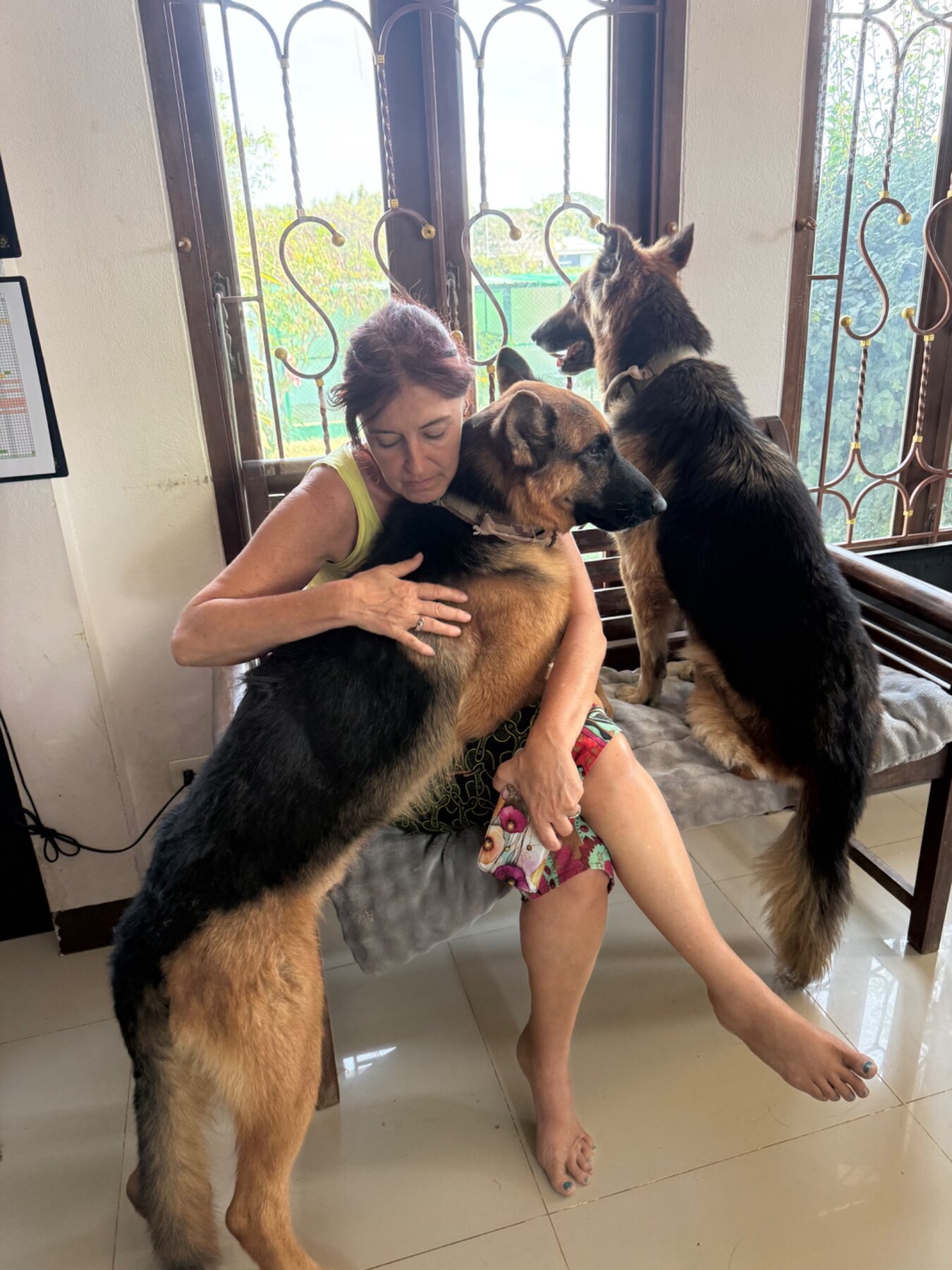 Close and affectionate care for German Shepherd guests